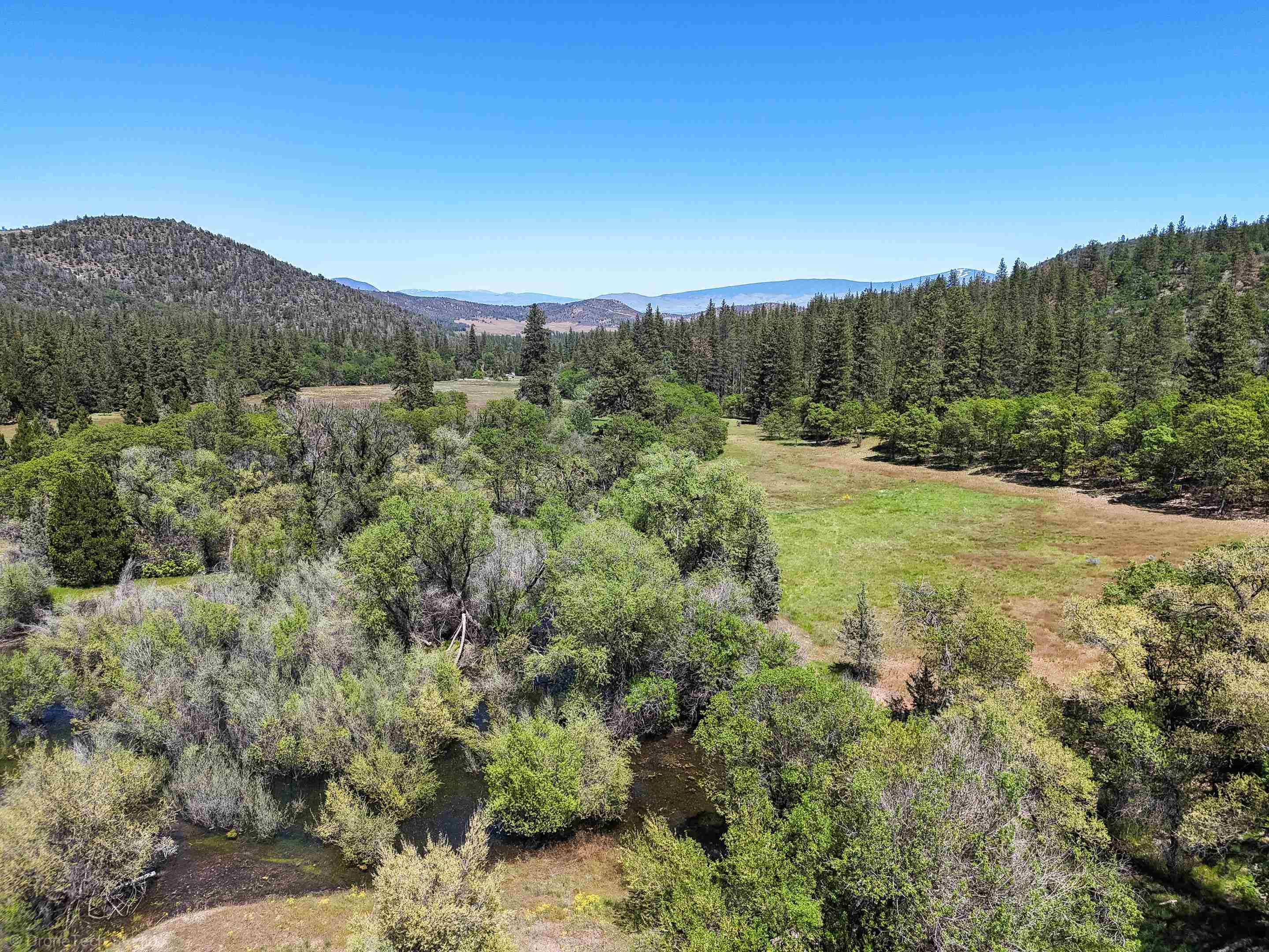 7226 Schulmeyer Gulch Road Yreka, CA 96097 - Photo 29 of 40 Gallery Image 29