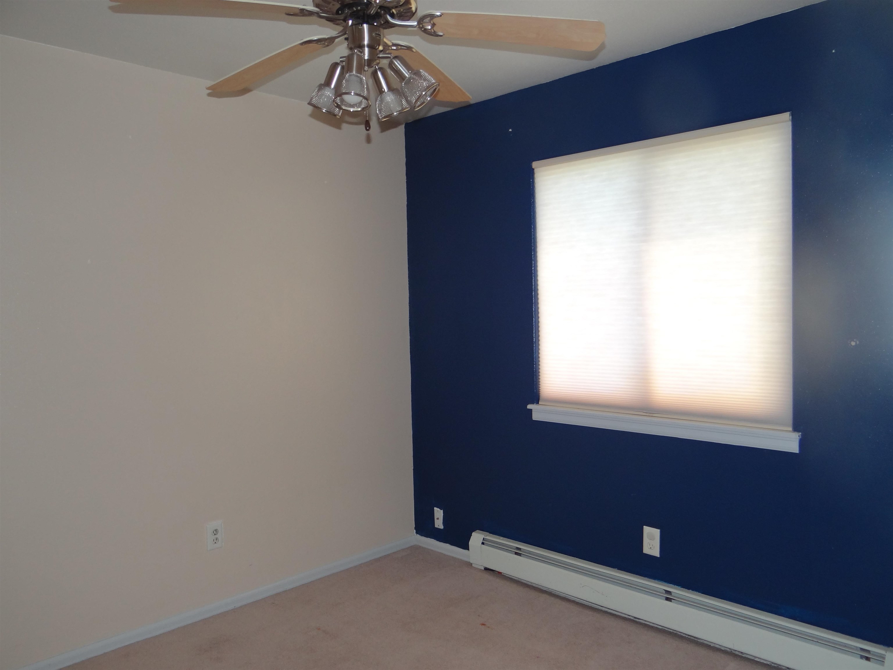 673 Andromeda Way Fruita, CO 81521 - Photo 12 of 27