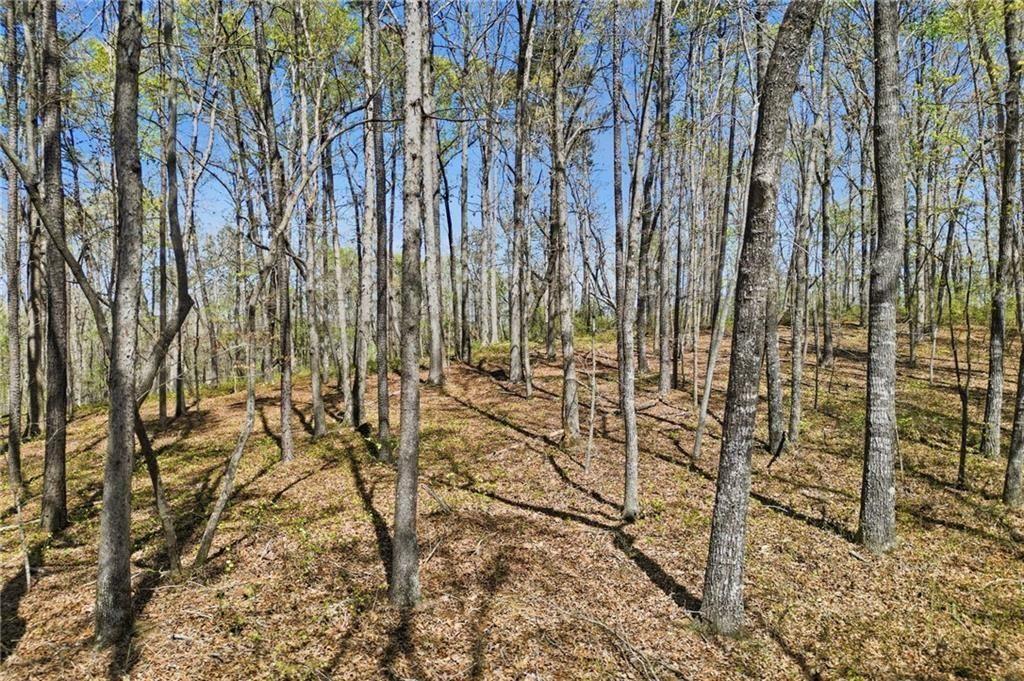 3094 Flatbottom Road Ball Ground, GA 30107 - Photo 11 of 15