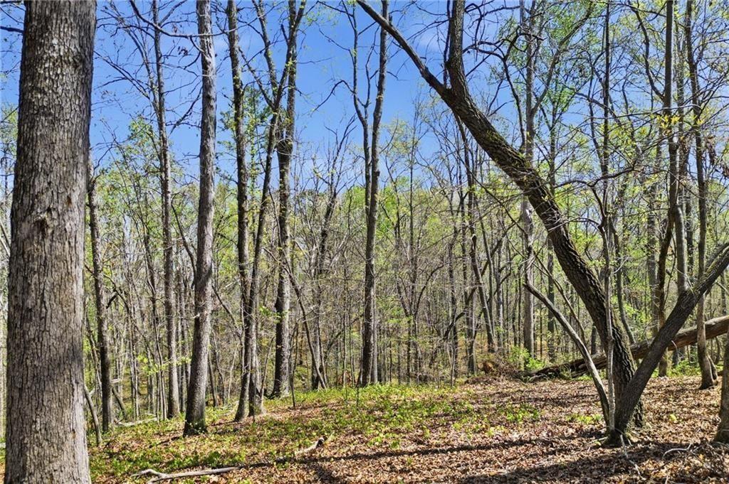3094 Flatbottom Road Ball Ground, GA 30107 - Photo 13 of 15 a backyard of a house with lots of green space