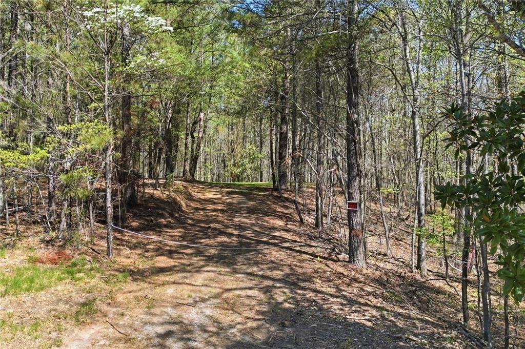 3094 Flatbottom Road Ball Ground, GA 30107 - Photo 4 of 15 a view of outdoor space with trees