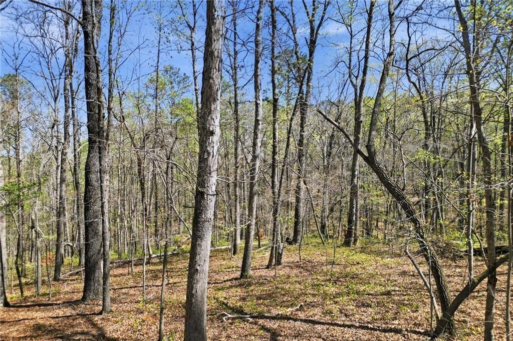 3094 Flatbottom Road Ball Ground, GA 30107 - Photo 6 of 15 a view of a outdoor space