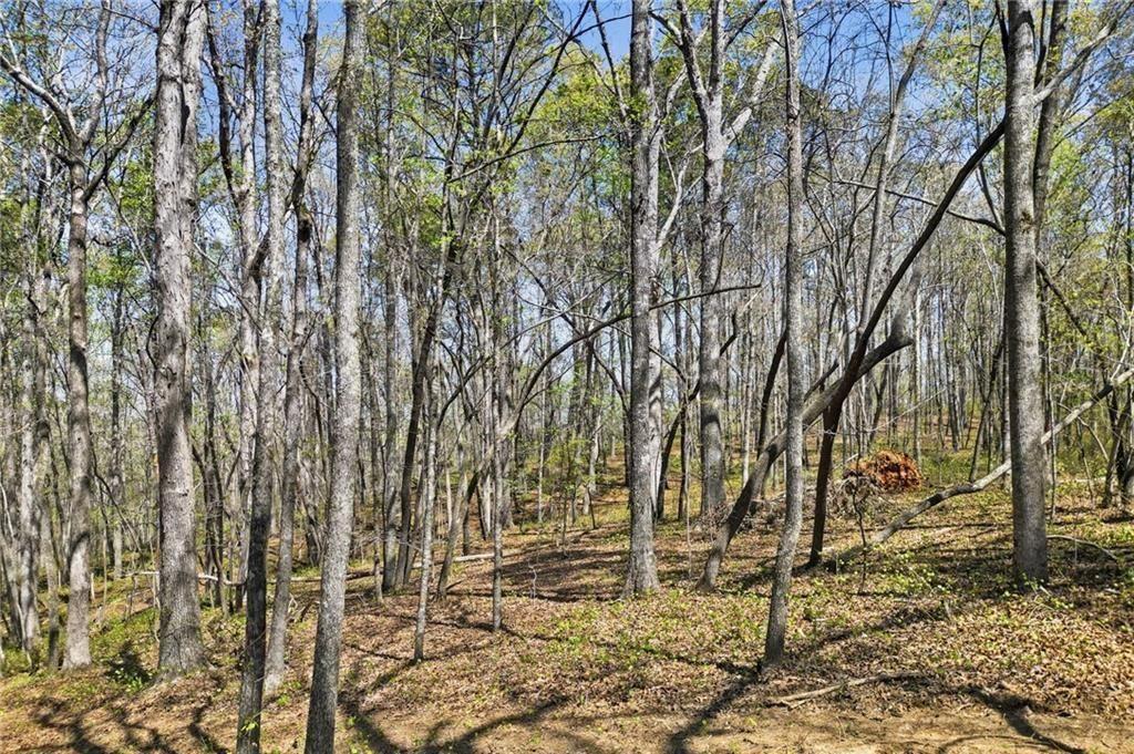 3094 Flatbottom Road Ball Ground, GA 30107 - Photo 8 of 15 a view of yard
