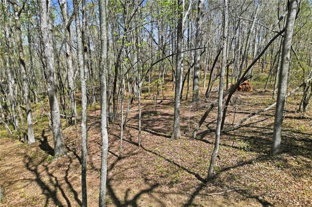 3094 Flatbottom Road Ball Ground, GA 30107 - Photo 9 of 15 a backyard of a house with lots of green space