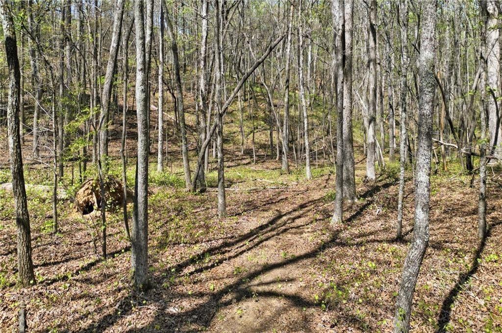 3094 Flatbottom Road Ball Ground, GA 30107 - Photo 10 of 15 a view of a yard