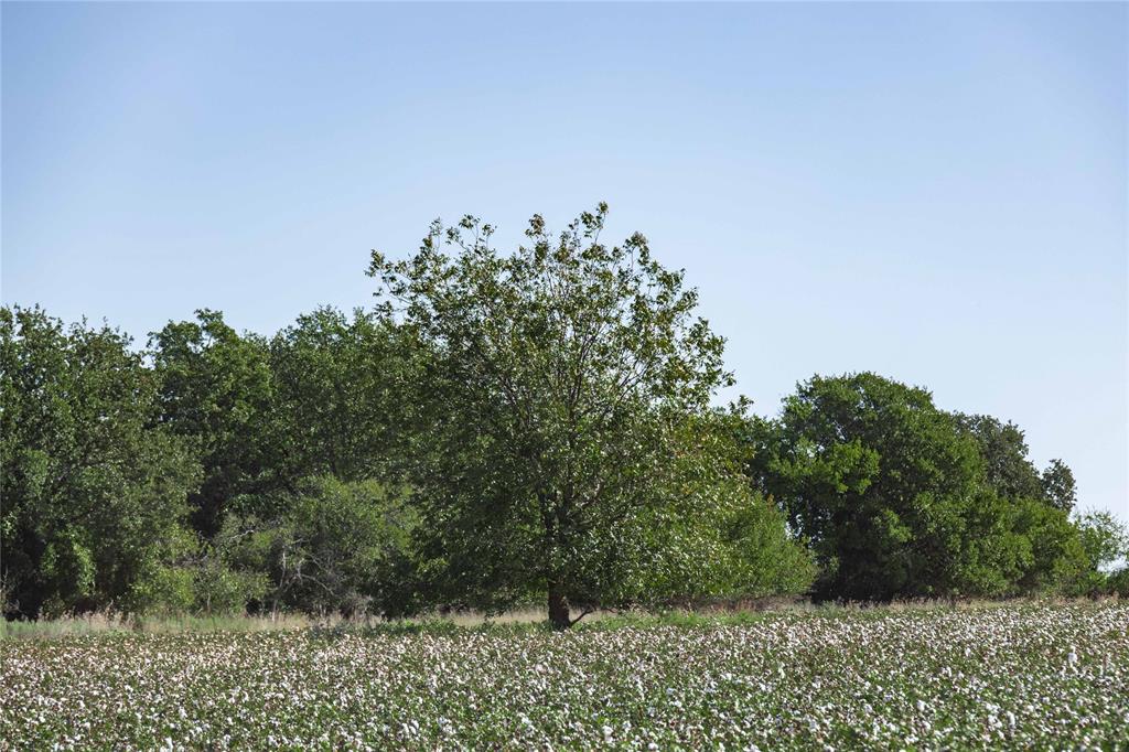 501 County Road 287 Rising Star, TX 76471 - Photo 12 of 26 a view of a green field