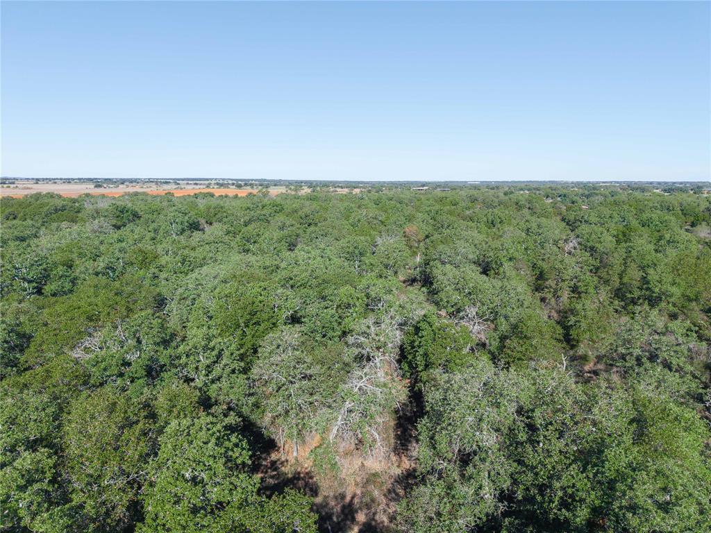 501 County Road 287 Rising Star, TX 76471 - Photo 13 of 26 a view of a big yard with lots of trees