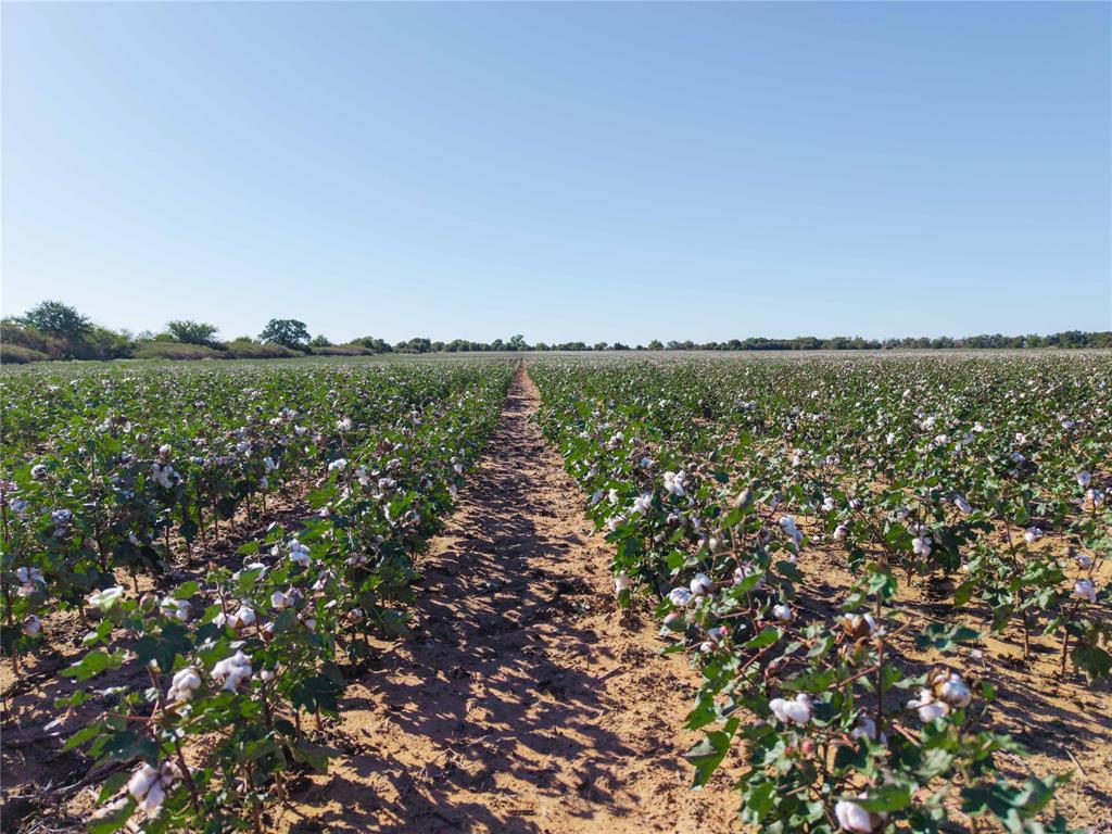 501 County Road 287 Rising Star, TX 76471 - Photo 14 of 26 a view of lake and mountain