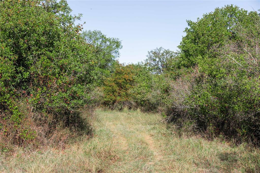 501 County Road 287 Rising Star, TX 76471 - Photo 18 of 26