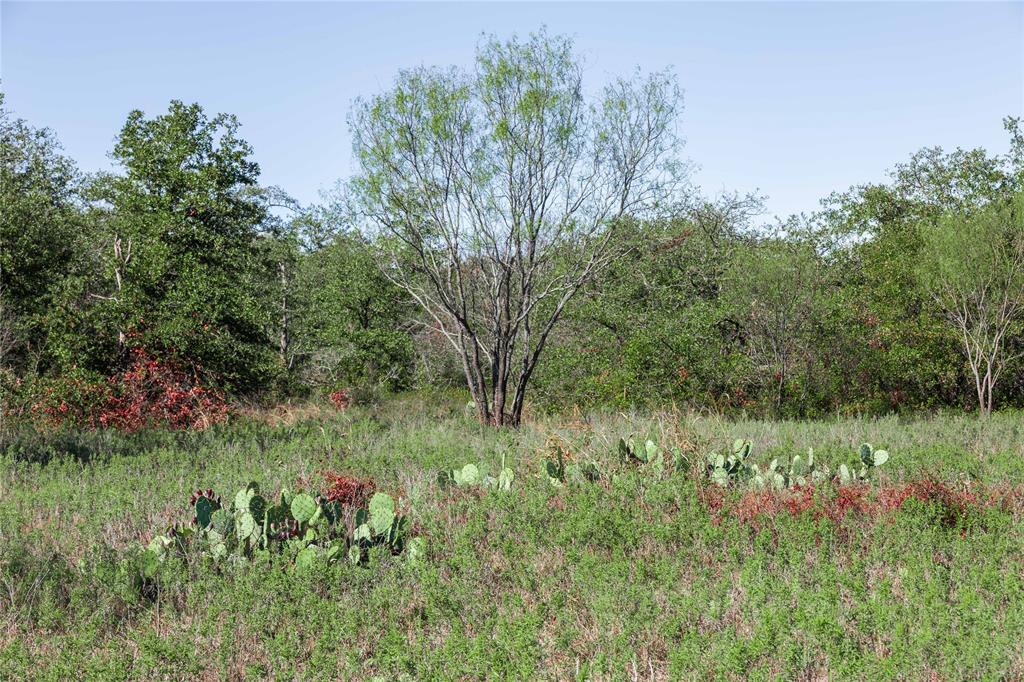 501 County Road 287 Rising Star, TX 76471 - Photo 20 of 26 a view of a lush green space
