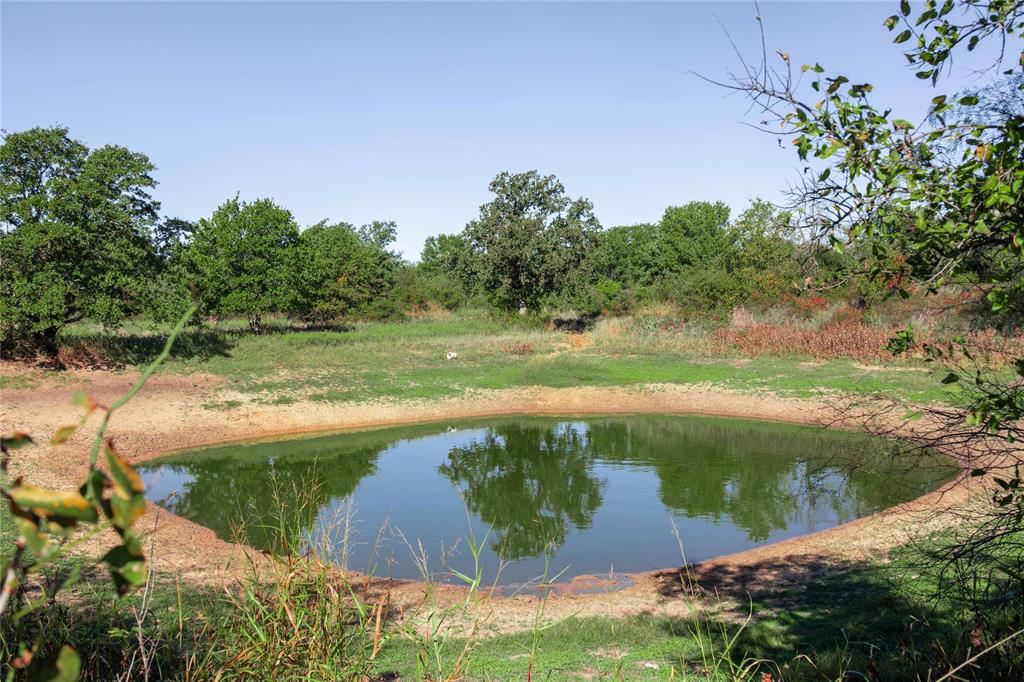 501 County Road 287 Rising Star, TX 76471 - Photo 2 of 26 a view of a lake from a yard