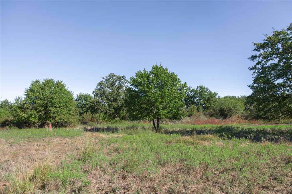 501 County Road 287 Rising Star, TX 76471 - Photo 22 of 26 a view of a field of grass and trees