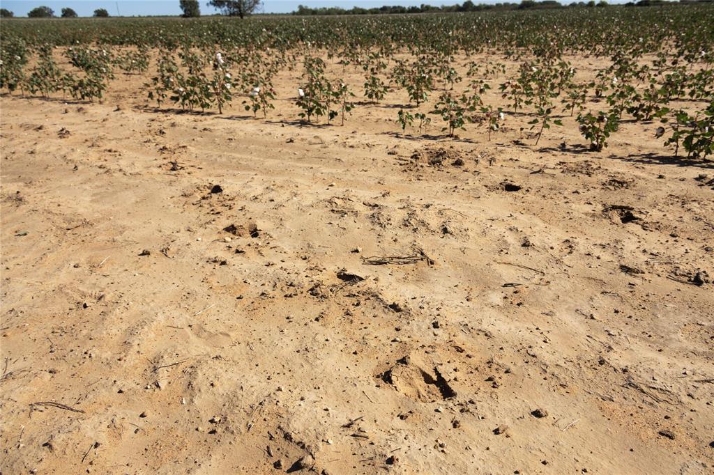 501 County Road 287 Rising Star, TX 76471 - Photo 23 of 26 a view of a yard