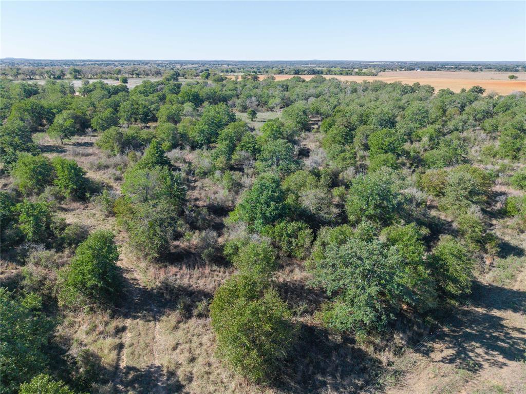 501 County Road 287 Rising Star, TX 76471 - Photo 26 of 26 an aerial view of forest