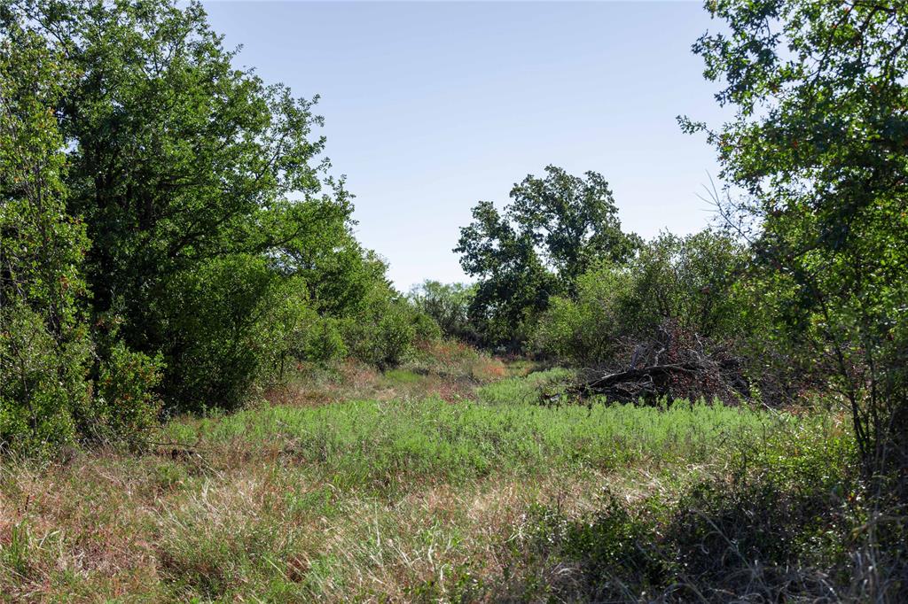 501 County Road 287 Rising Star, TX 76471 - Photo 4 of 26 a view of a lush green space