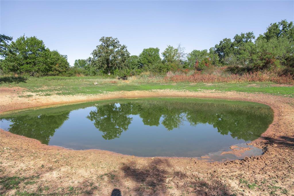 501 County Road 287 Rising Star, TX 76471 - Photo 7 of 26 a view of a lake from a yard