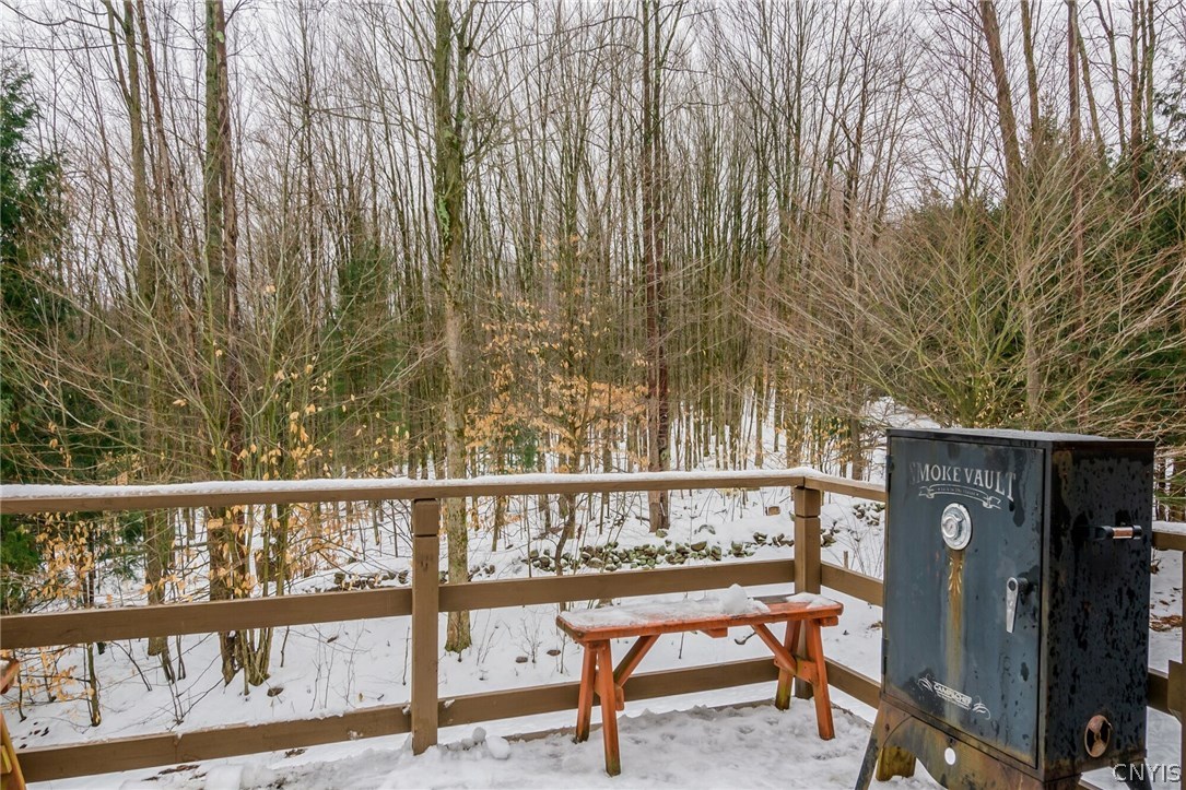 291 Dutch Hill Road Parish, NY 13167 - Photo 33 of 34 View from the deck off the kitchen! Space for you