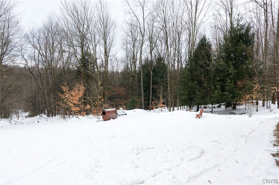 291 Dutch Hill Road Parish, NY 13167 - Photo 34 of 34