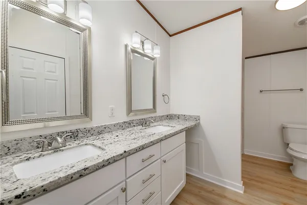 a bathroom with a granite countertop sink and a toilet