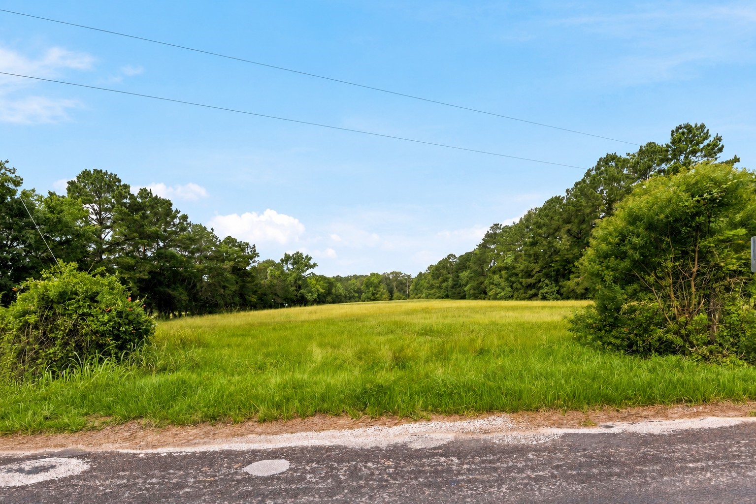 Lot 1 Mount Zion Road New Waverly, TX 77358 - Photo 6 of 33