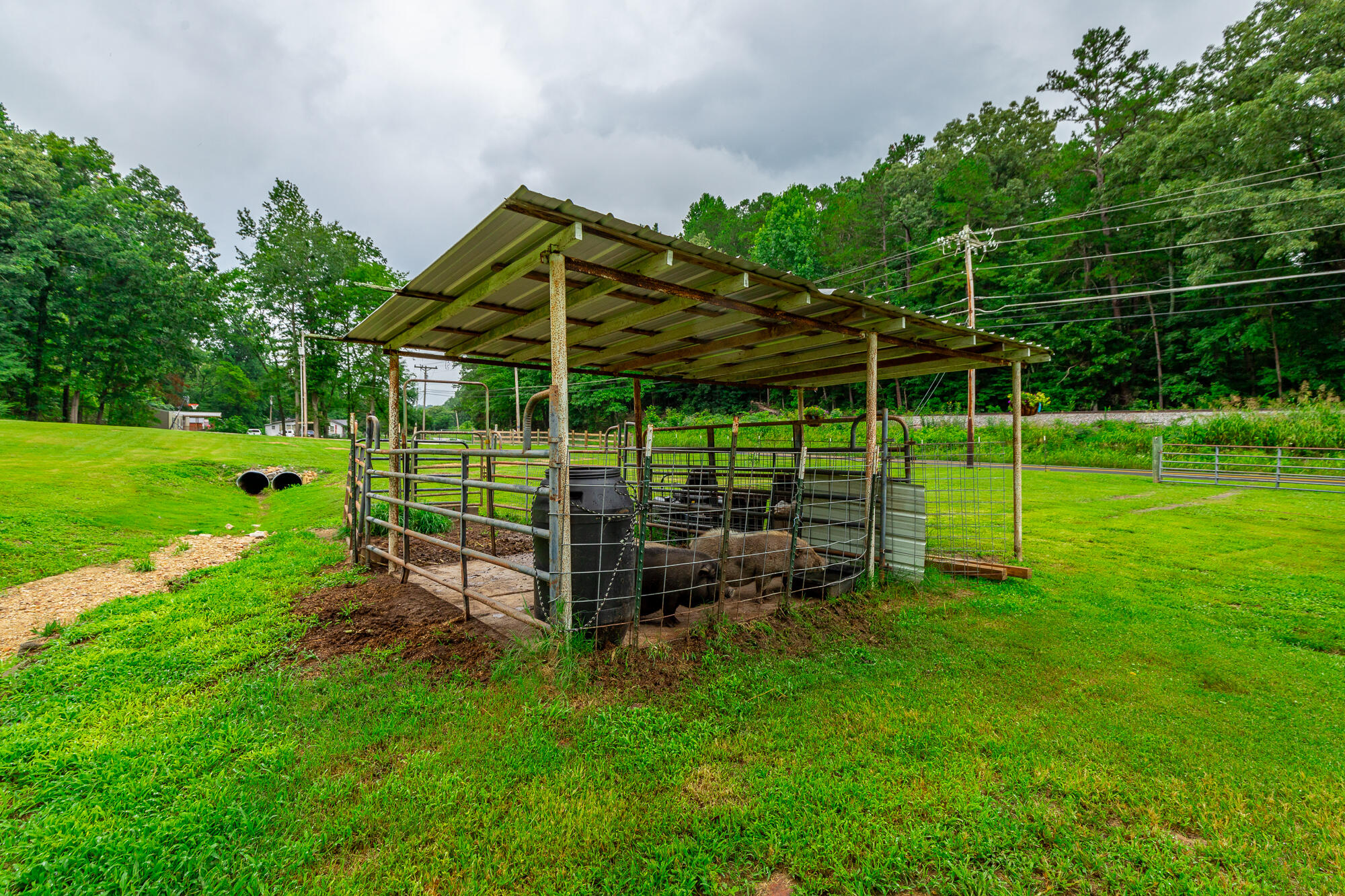173 Lytle Road Rossville, GA 30741 - Photo 36 of 43 173 Lytle Road HD-62