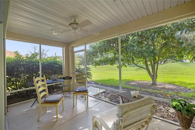 a view of a patio with couches chairs potted plants and a palm tree