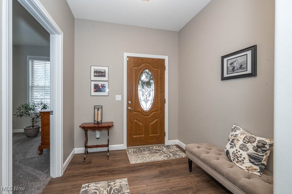 6580 Abbey Road North Canfield, OH 44406 - Photo 7 of 32 Entryway featuring dark wood-style flooring and plenty of natural light