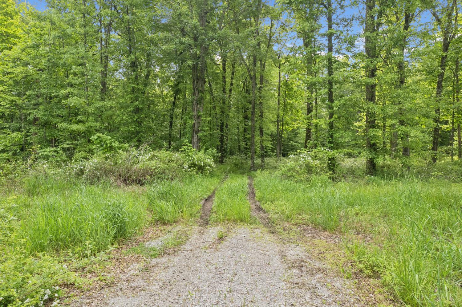 2128 Donald Road Bethel, OH 45106 - Photo 2 of 18 Gallery Image 2