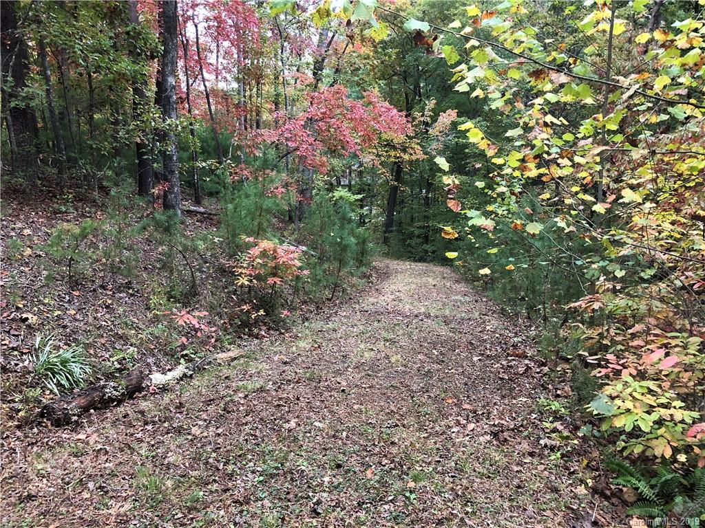 Lot 13 South Pointe Road Mill Spring, NC 28756 - Photo 1 of 22 a view of a forest with a tree