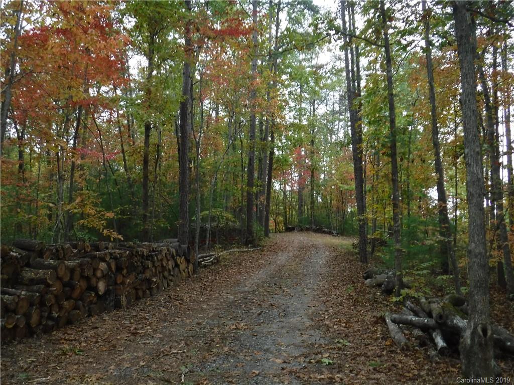 Lot 13 South Pointe Road Mill Spring, NC 28756 - Photo 11 of 22 a view of a forest with trees in the background