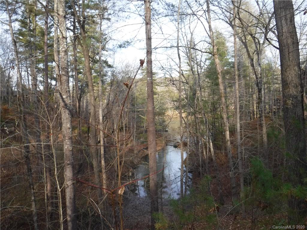 Lot 13 South Pointe Road Mill Spring, NC 28756 - Photo 13 of 22 a view of a forest that has a tree