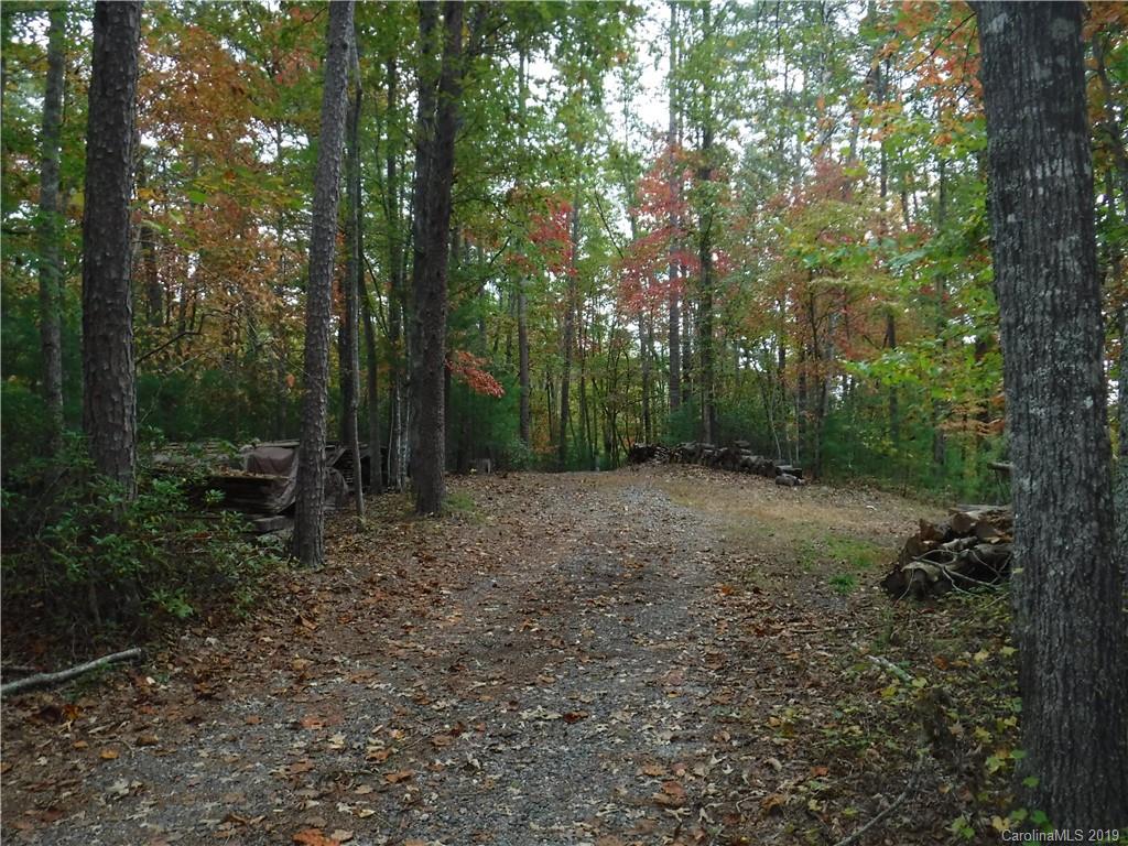 Lot 13 South Pointe Road Mill Spring, NC 28756 - Photo 14 of 22 a view of a forest with trees in the background
