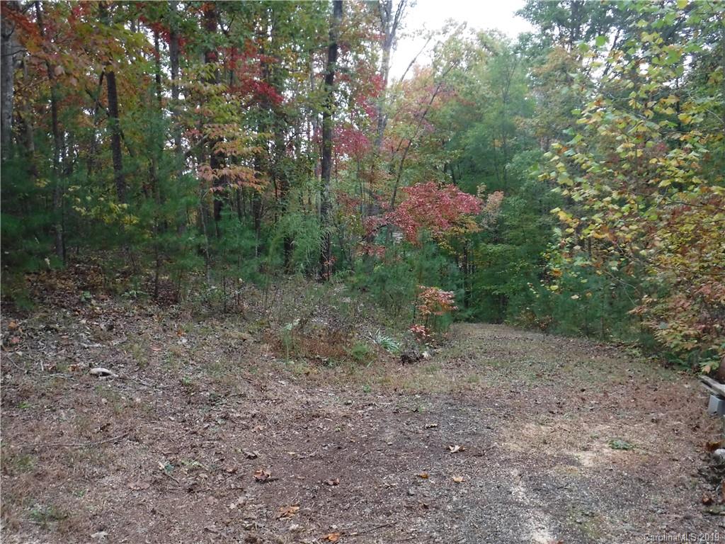 Lot 13 South Pointe Road Mill Spring, NC 28756 - Photo 15 of 22 a view of a forest with trees in the background