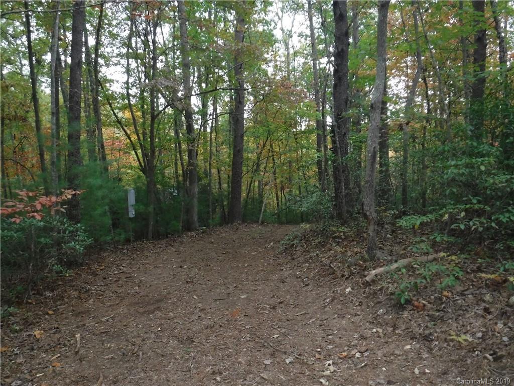 Lot 13 South Pointe Road Mill Spring, NC 28756 - Photo 16 of 22 a view of a forest with trees in the background