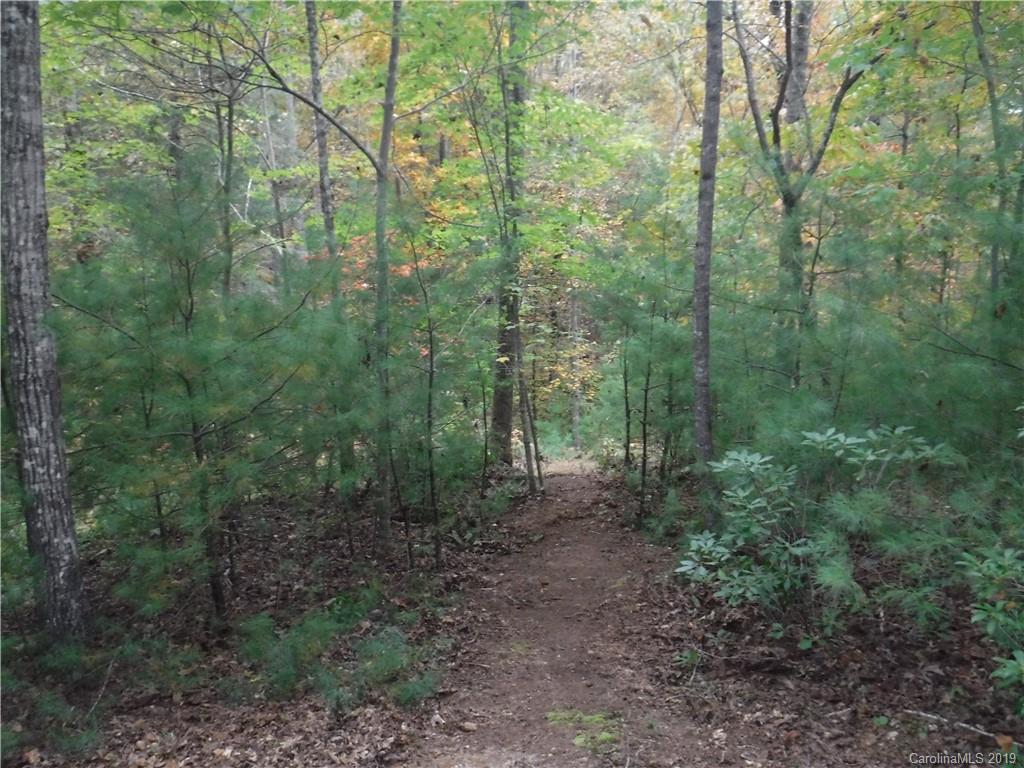 Lot 13 South Pointe Road Mill Spring, NC 28756 - Photo 17 of 22 a view of a forest with trees