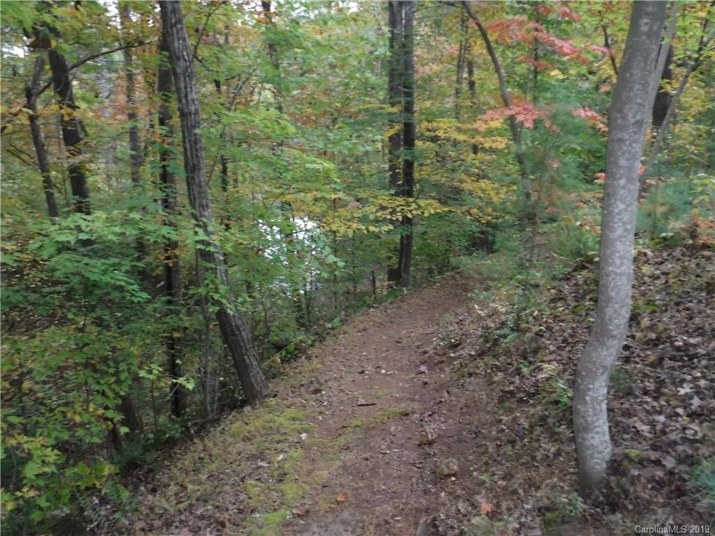Lot 13 South Pointe Road Mill Spring, NC 28756 - Photo 18 of 22 a view of a forest with trees
