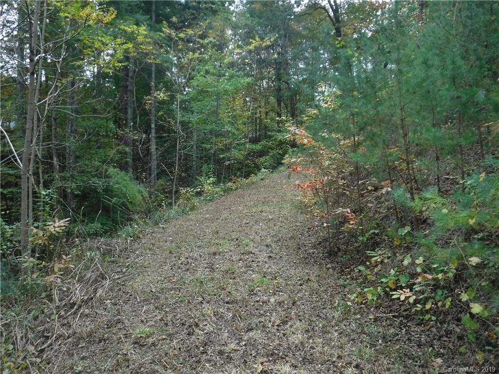 Lot 13 South Pointe Road Mill Spring, NC 28756 - Photo 19 of 22 a view of a forest with trees in the background