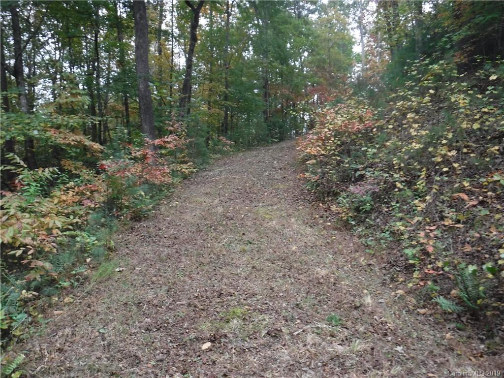 Lot 13 South Pointe Road Mill Spring, NC 28756 - Photo 20 of 22 a view of a forest with trees in the background