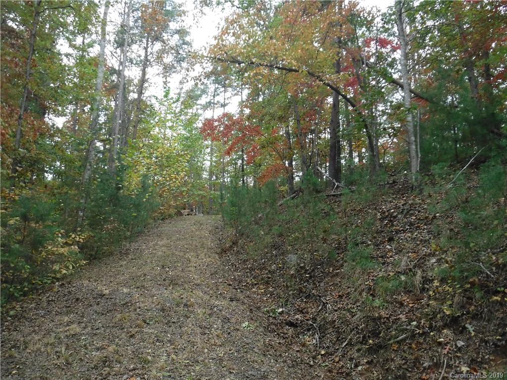 Lot 13 South Pointe Road Mill Spring, NC 28756 - Photo 21 of 22 a view of a forest with trees in the background