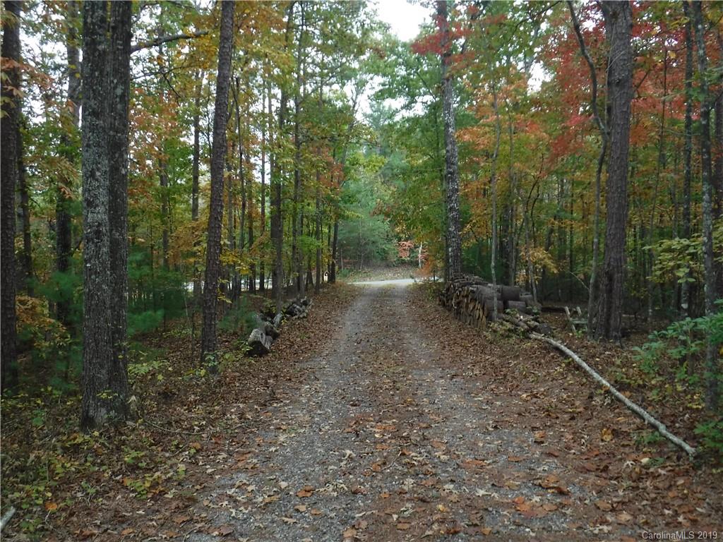 Lot 13 South Pointe Road Mill Spring, NC 28756 - Photo 22 of 22 a view of a forest with trees in the background