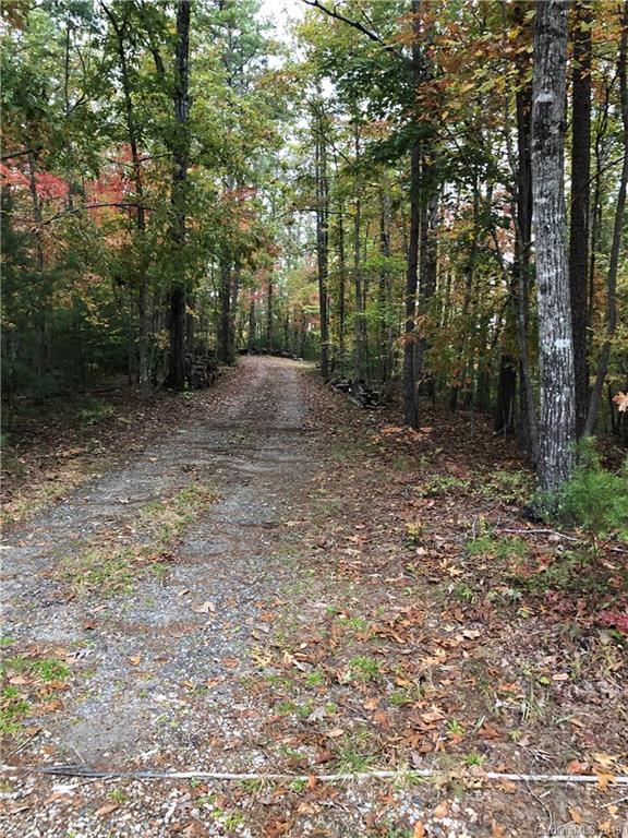 Lot 13 South Pointe Road Mill Spring, NC 28756 - Photo 4 of 22 a view of a forest with trees in the background