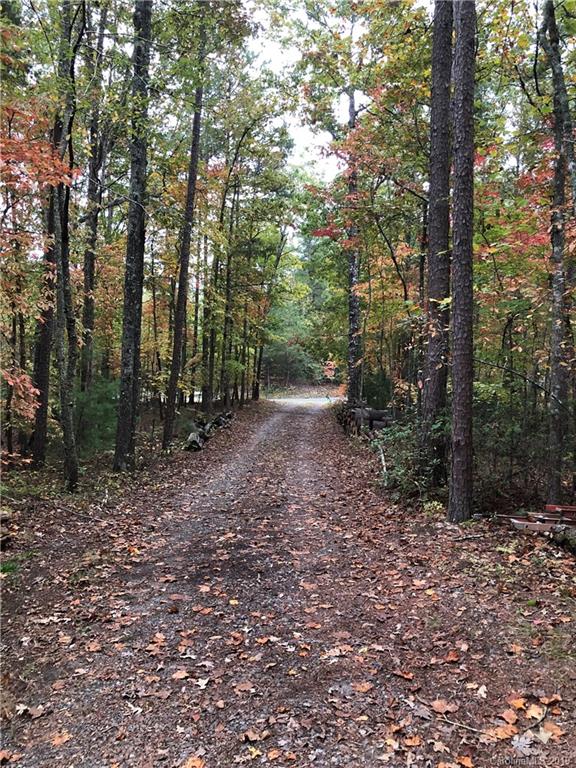 Lot 13 South Pointe Road Mill Spring, NC 28756 - Photo 7 of 22 a view of a forest with trees