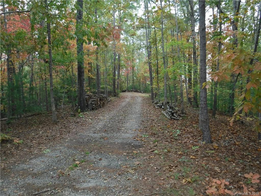 Lot 13 South Pointe Road Mill Spring, NC 28756 - Photo 10 of 22 a view of a forest with trees in the background