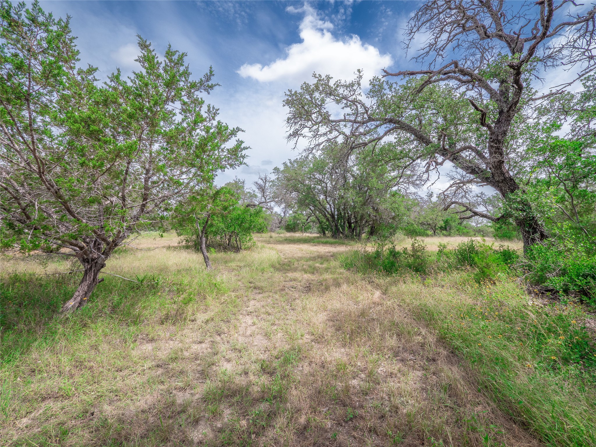Tbd Winnie Smith Road Round Mountain, TX 78663 - Photo 19 of 30 a view of backyard with green space