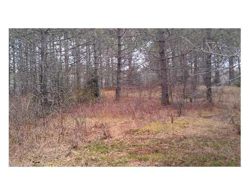 Lot 3 Pine Road Hersey, ME 04765 - Photo 6 of 6 Land/Lot.