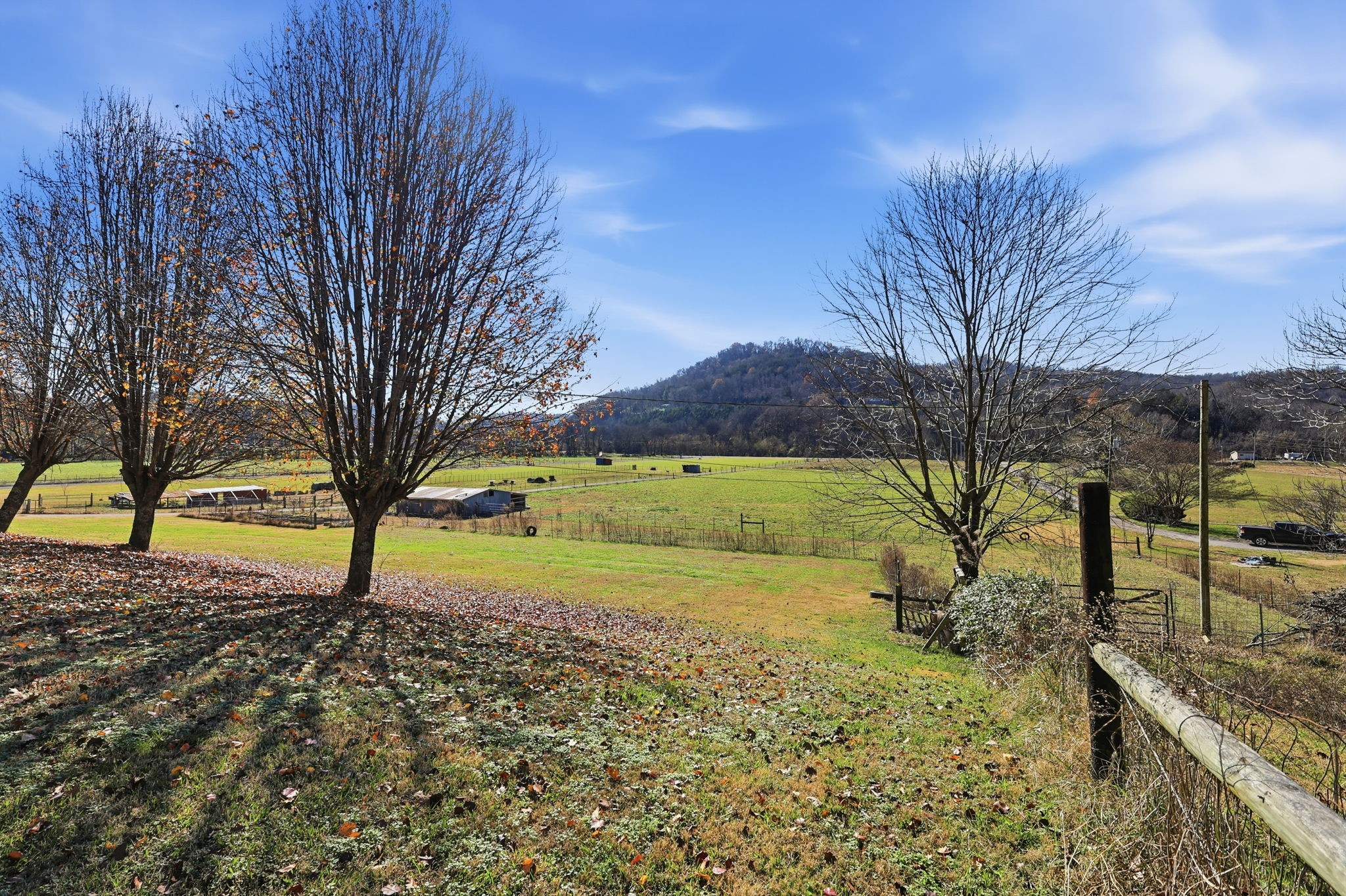 600 East Main Street Dowelltown, TN 37059 - Photo 44 of 54 a view of a yard with a tree