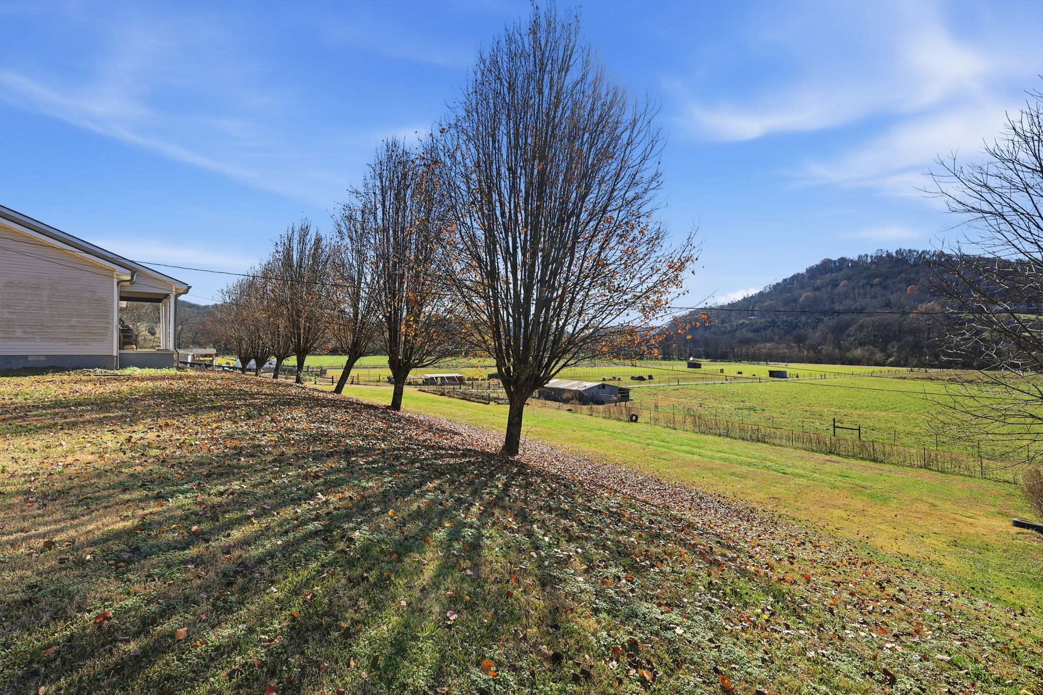 600 East Main Street Dowelltown, TN 37059 - Photo 45 of 54