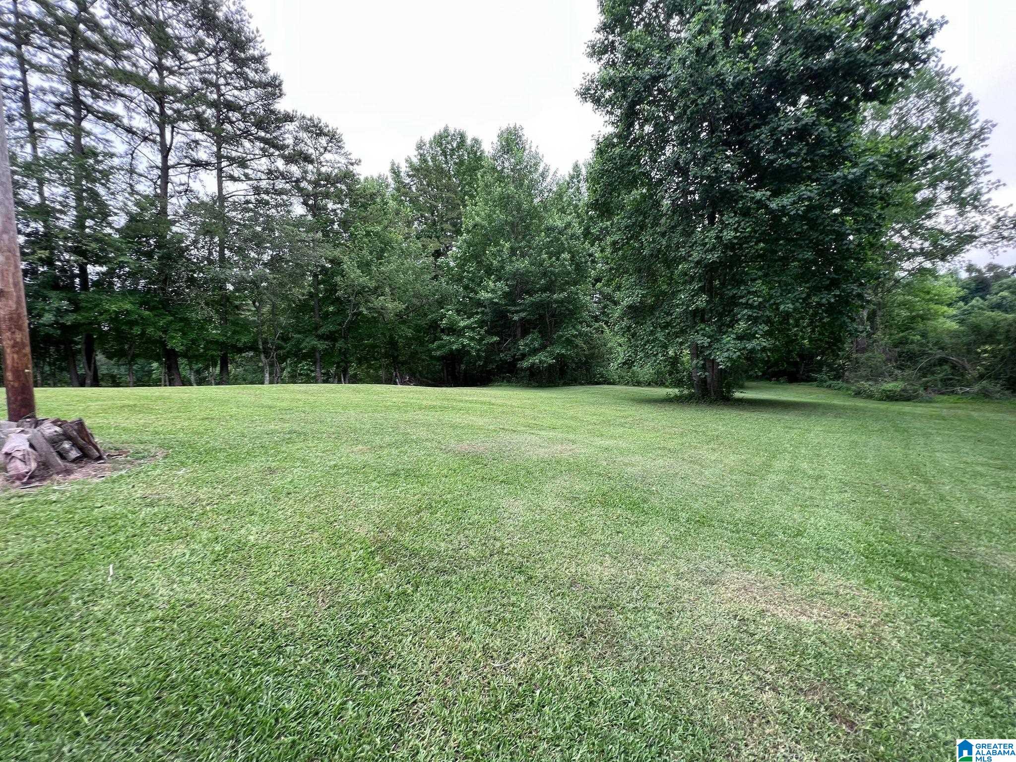 1730 Abel Road Delta, AL 36258 - Photo 25 of 28