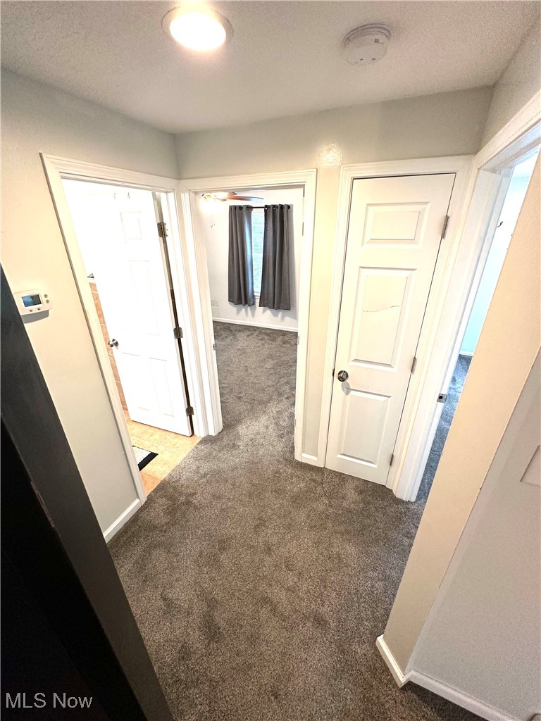 3727 Hopkins Road Youngstown, OH 44511 - Photo 28 of 40 Corridor featuring carpet