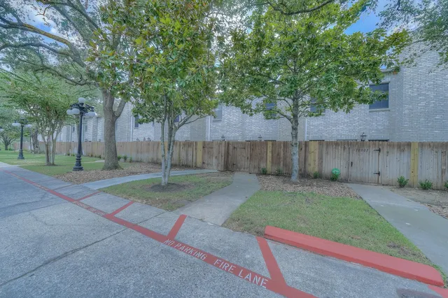 a view of a backyard with tree s